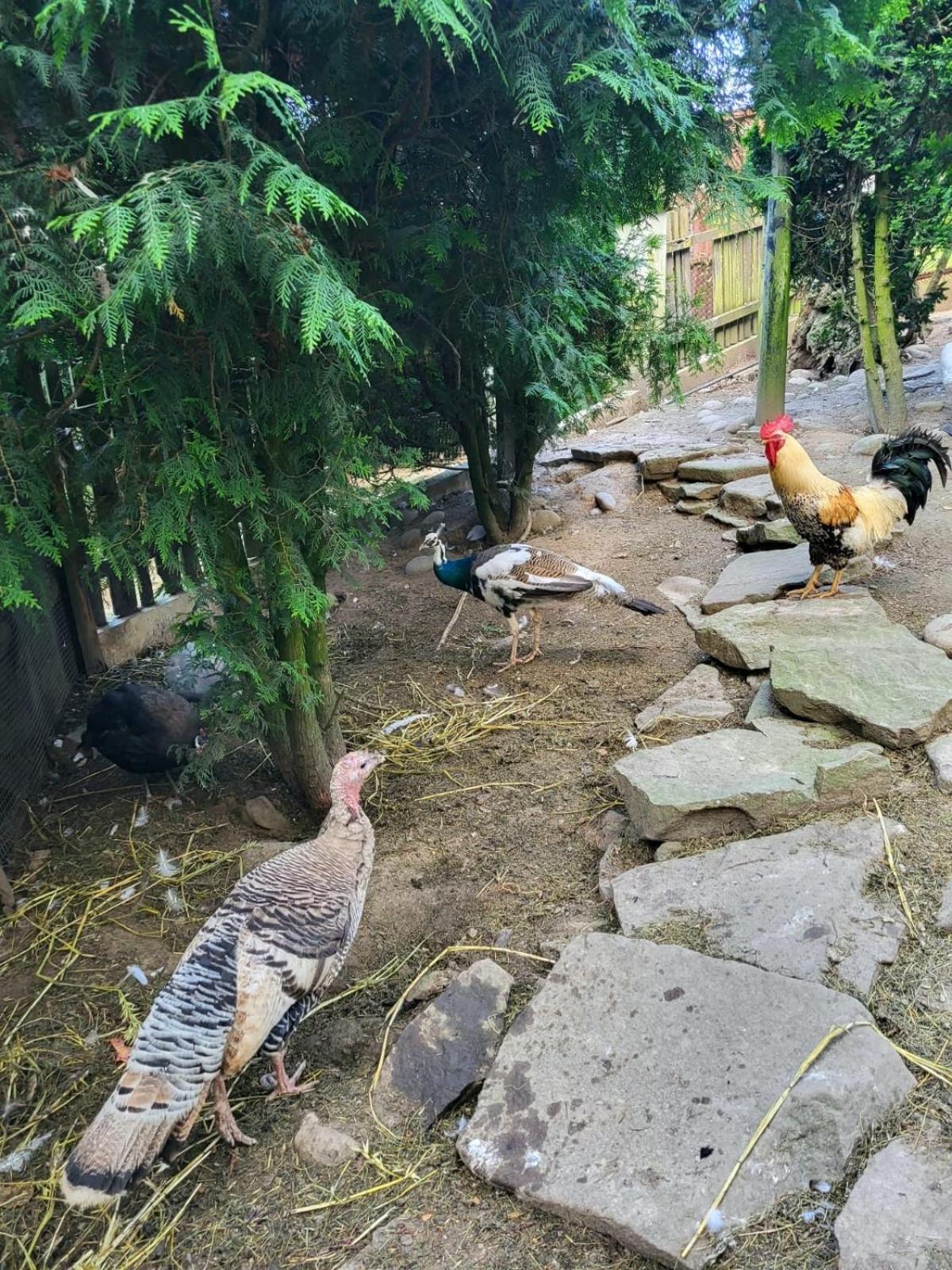 Koperkowe Rancho Beskid Wyspowy Domek Malopolskie Kamionna Kamionna (Trzciana) Exterior foto